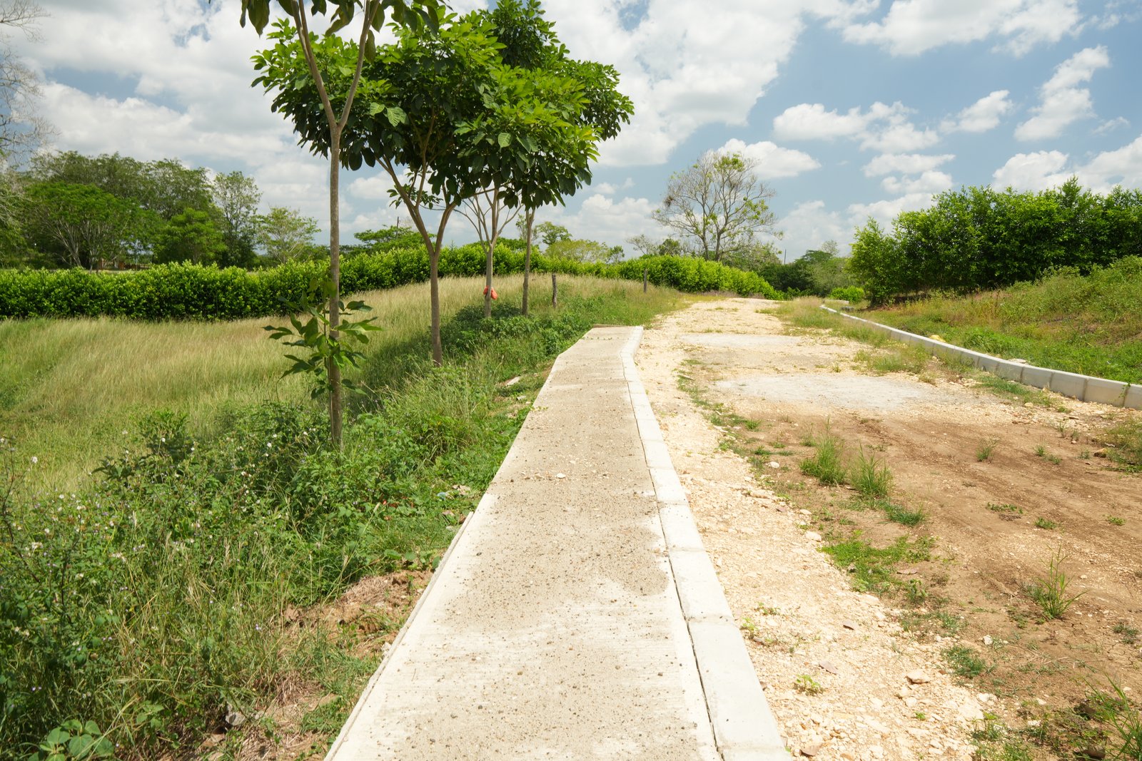 Adecuación de Terrenos